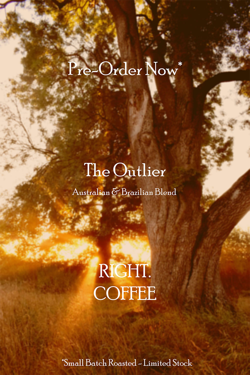 The Outlier